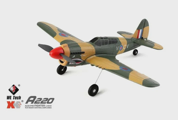 RC Pro 3D/6G P40 4ch airplane