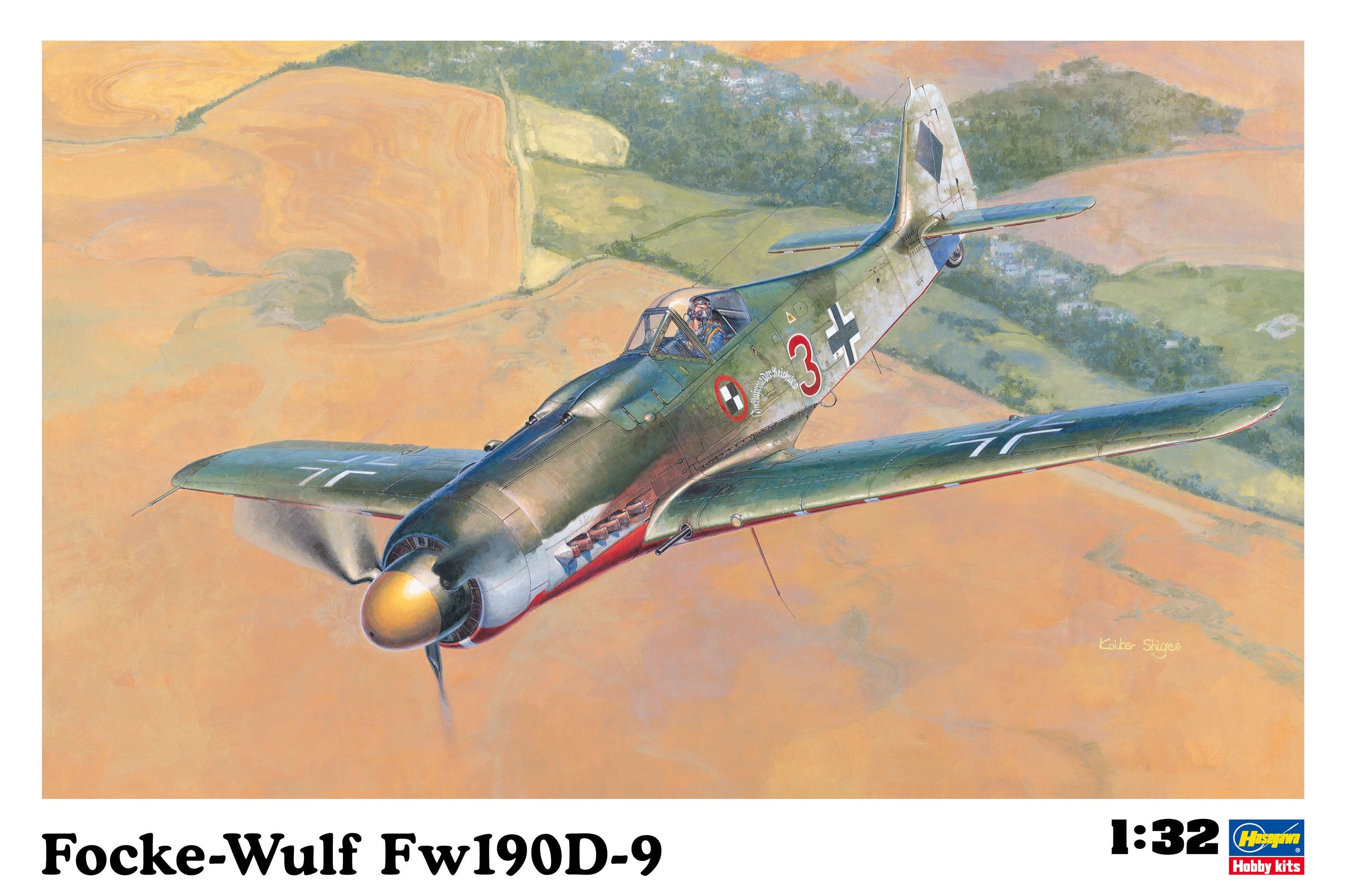 Fockewulf Fw190D-9 ST19 1/32 #08069 by Hasegawa