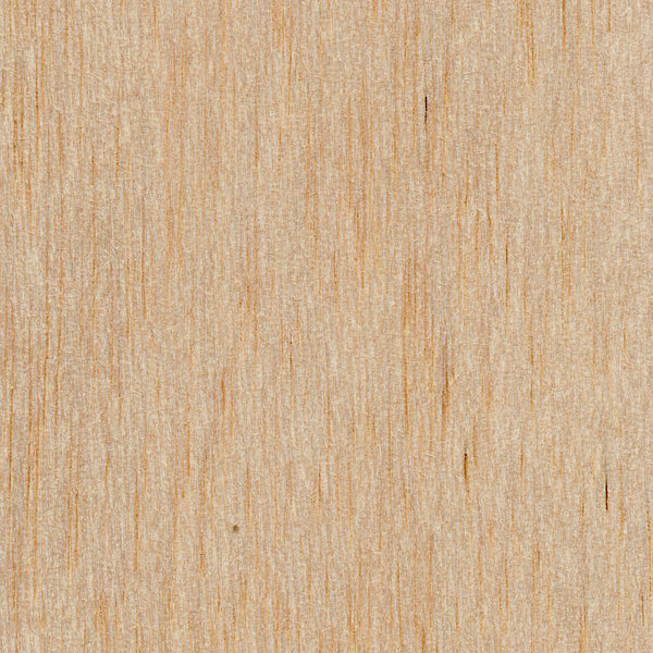 Basswood Sheets 1/8 x 1 x 24 (15/pk) (ea)