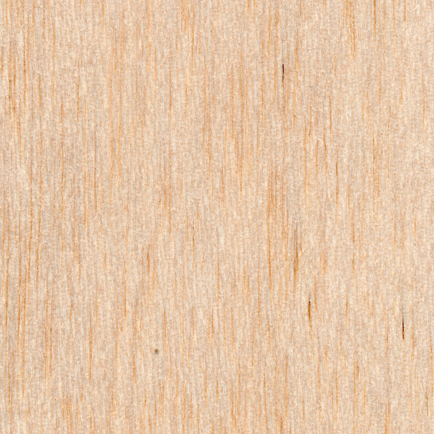Basswood Strips 1/32x4x24 BNM