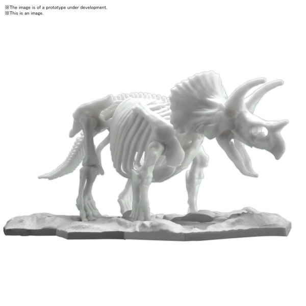 Triceratops Skeleton Model Kit #5061660 by Bandai