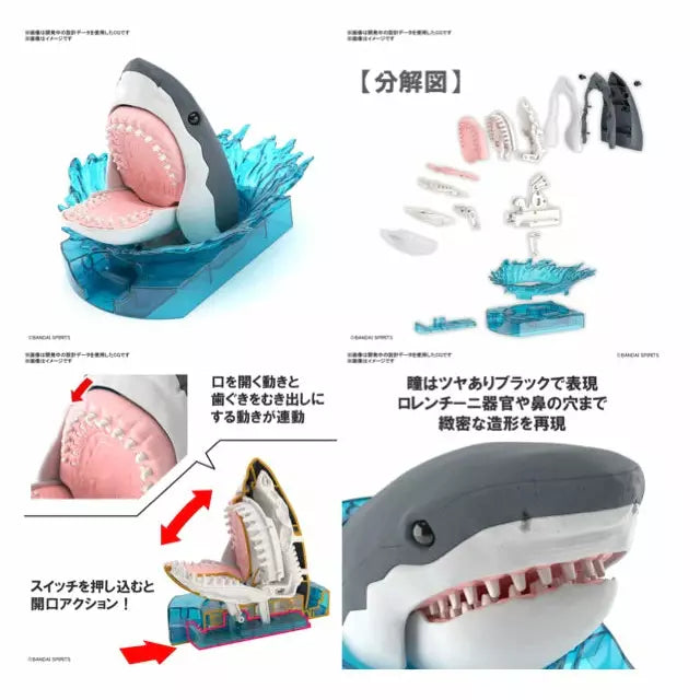 Exploring Lab Nature Great White Shark Plastic Model Kit