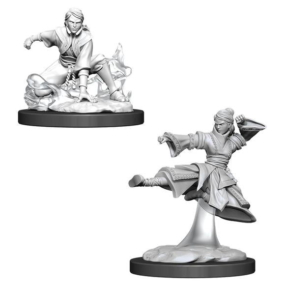 D&D Unpainted Mini - Human Female Monk 90008