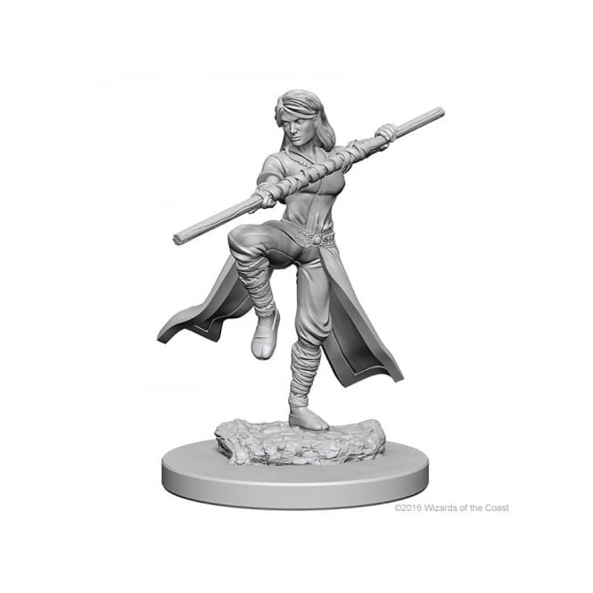 D&D Unpainted Mini - Human Female Monk 72634