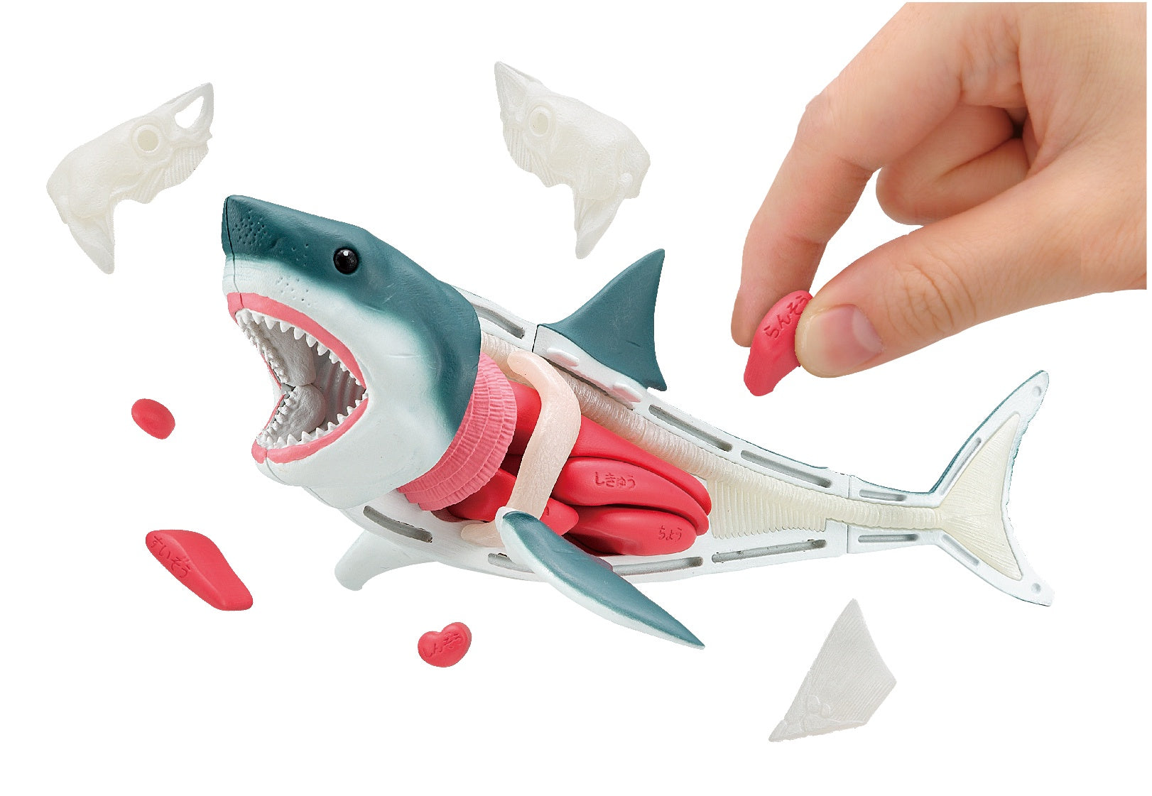 Megahouse Kaitai Puzzle - Great White Shark