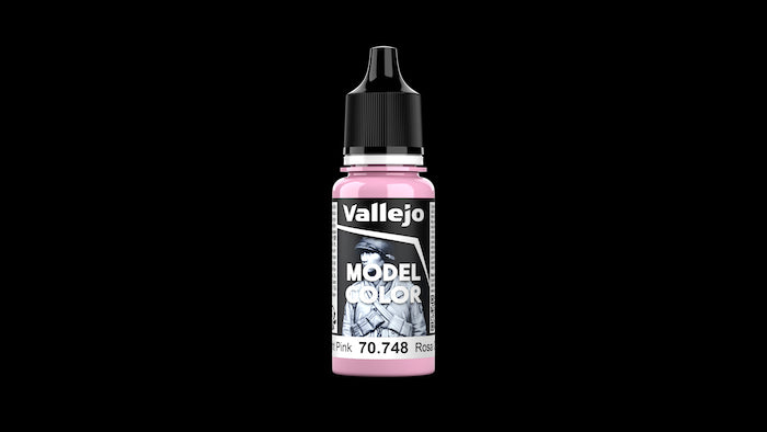 VAL70748 Model Color Light Pink (17ml) (42)