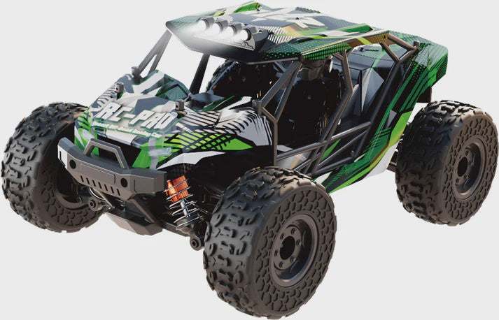 RC Pro 1/18 Side by Side - RIZZ