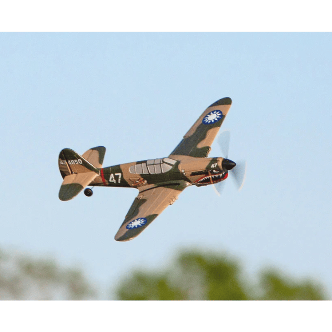 RageRC Curtiss P-40 Warhawk - RGRA1305