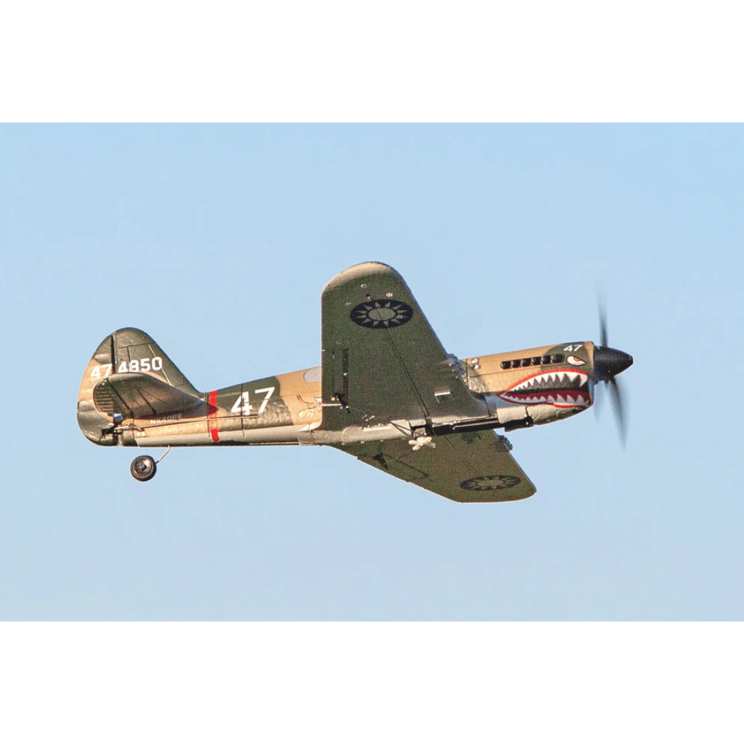 RageRC Curtiss P-40 Warhawk - RGRA1305