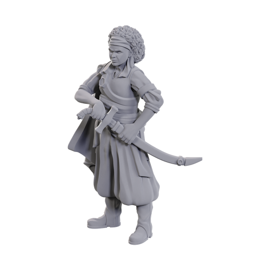 D&D Unpainted Mini - Ansalon Human Rogue 90110