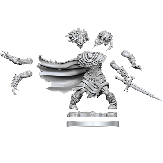 D&D Unpainted Mini - Wight 75052