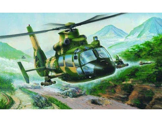 Z-9G Armed Helicopter 1/48 #02802 by Trumpeter