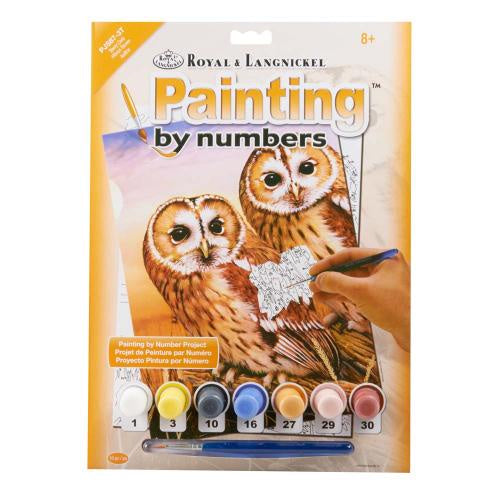 Royal & Langnickel Paint by Numbers Tawny Owls