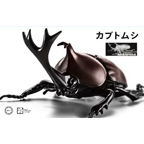 Beetle (Clear) Set by Fujimi