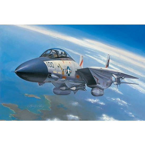 F-14A Tomcat 1/72 #80276 by Hobby Boss