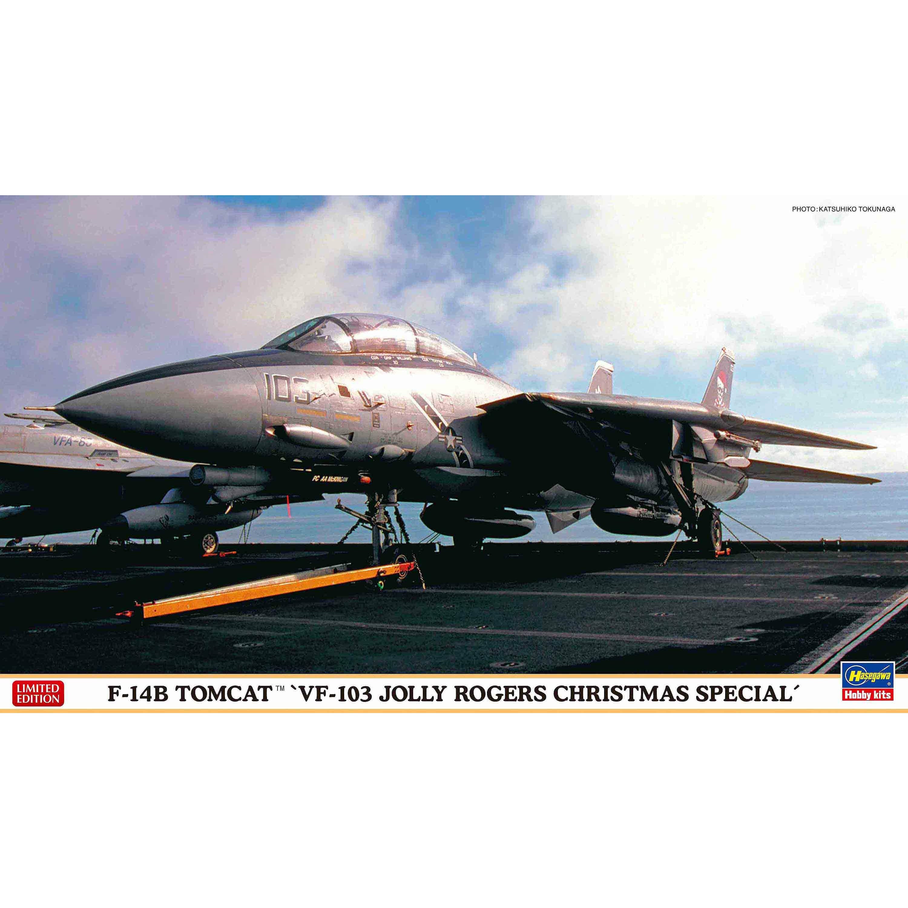 F-14B Tomcat 'VF-103 Jolly Rogers Christmas Special' 1/72 #2391 by Hasegawa