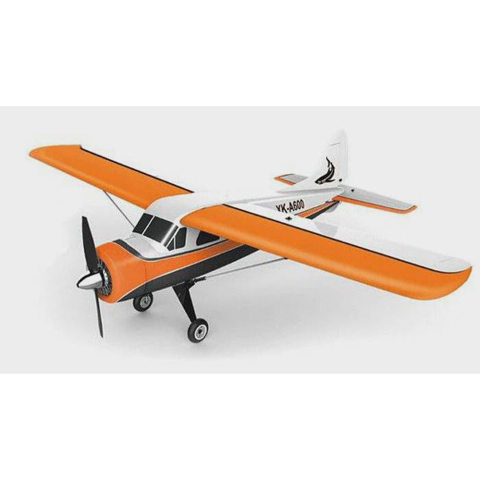 3D/6G 5Ch Brushless R/C Airplane(58 cm)