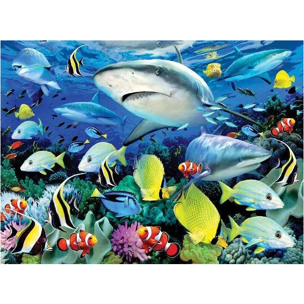 Royal & Langnickel Paint by Numbers Reef Shark