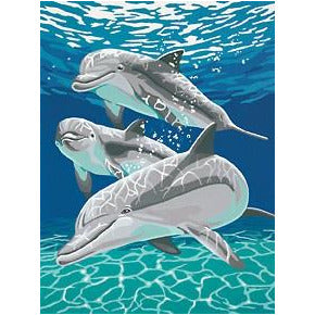 Dimensions Paint by Numbers Sunlit Pals (Dolphins) (9"x12")