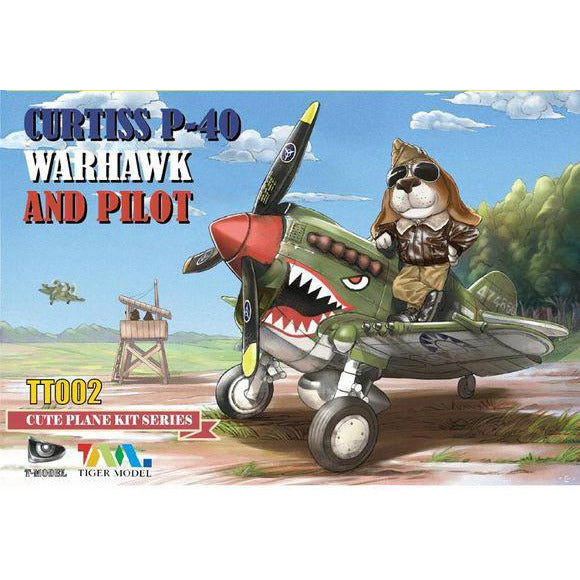 Cute US P-40 Warhawk Fighter and Pilot