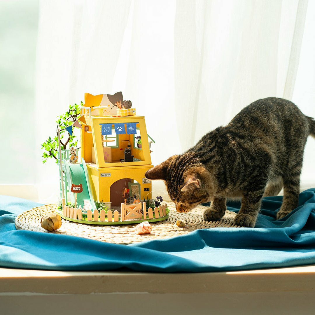 DIY House Cat House