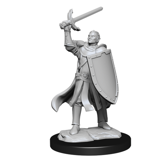 D&D Unpainted Mini - Half-Elf Paladin Male 90230