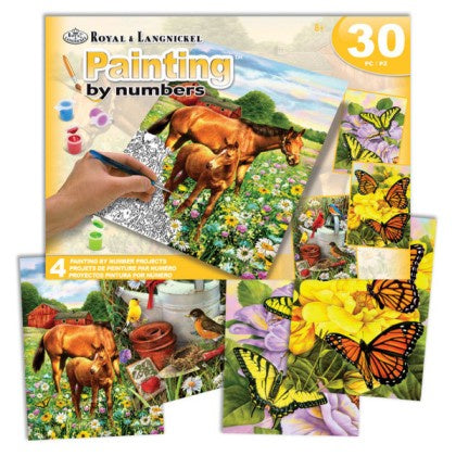 Royal & Langnickel Paint by Numbers Outdoor Life (Horses, Birds, Butterflies)