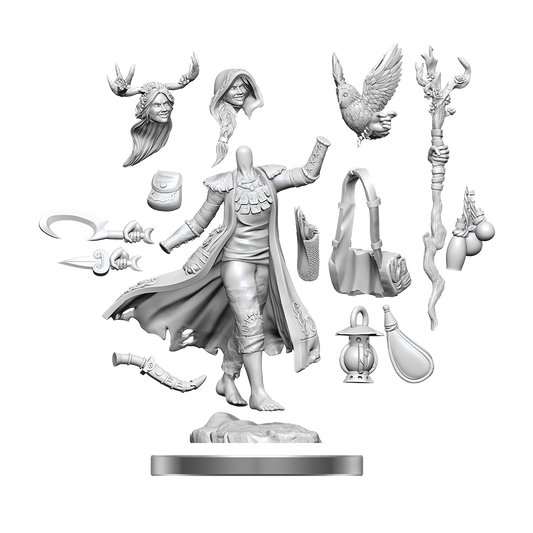 D&D Frameworks: Human Druid Female 75012