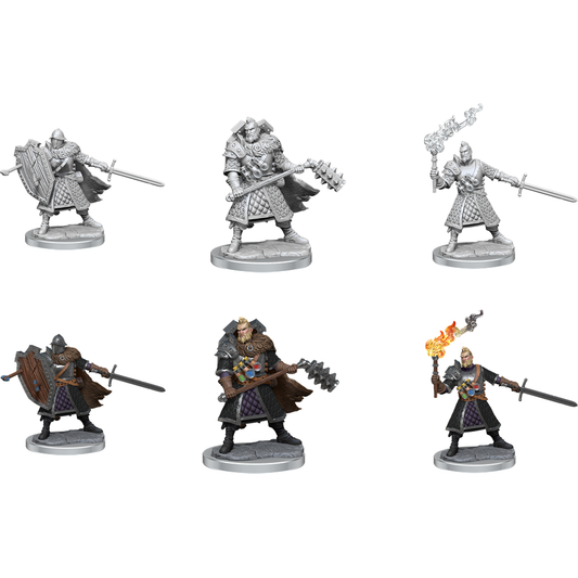 D&D Frameworks: Human Fighter Male 75013