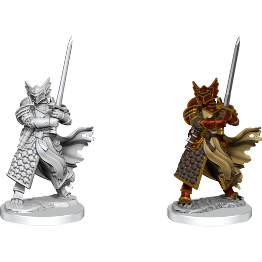 D&D Frameworks: Dragonborn Paladin Male 75022