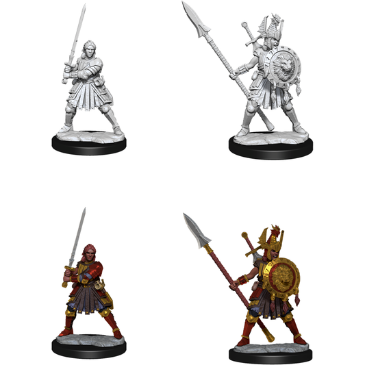 D&D Frameworks: Human Fighter Female 75025