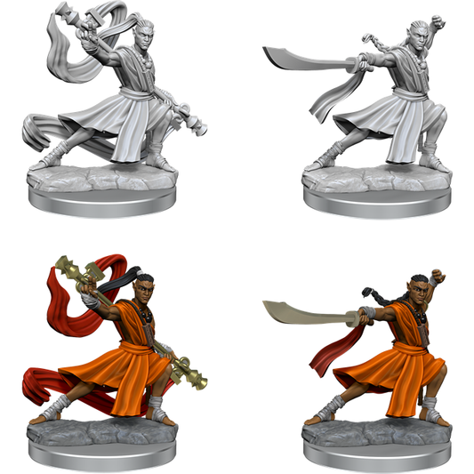 D&D Frameworks: Elf Monk Male 75027