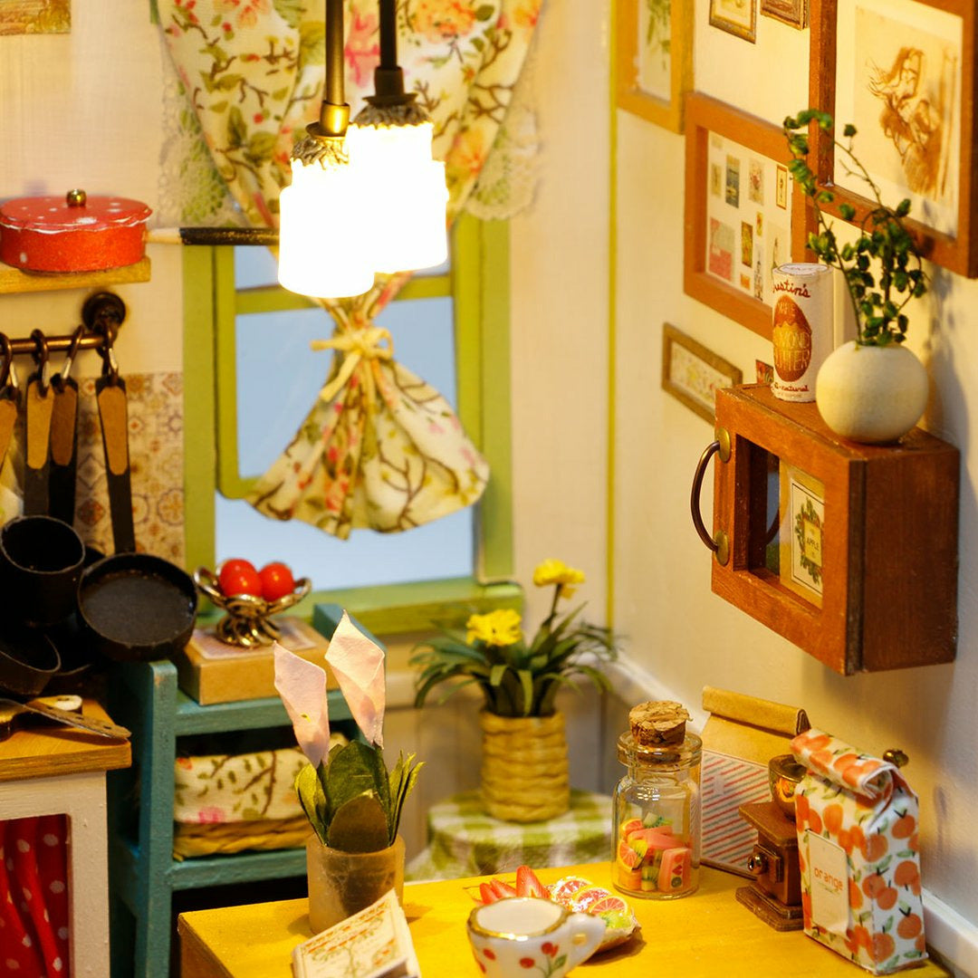 DIY House Jason's Kitchen