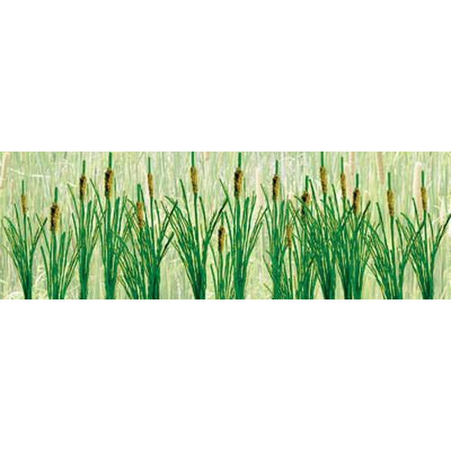 JTT Scenery Products HO 3/4" Cattails (24pc) #95535