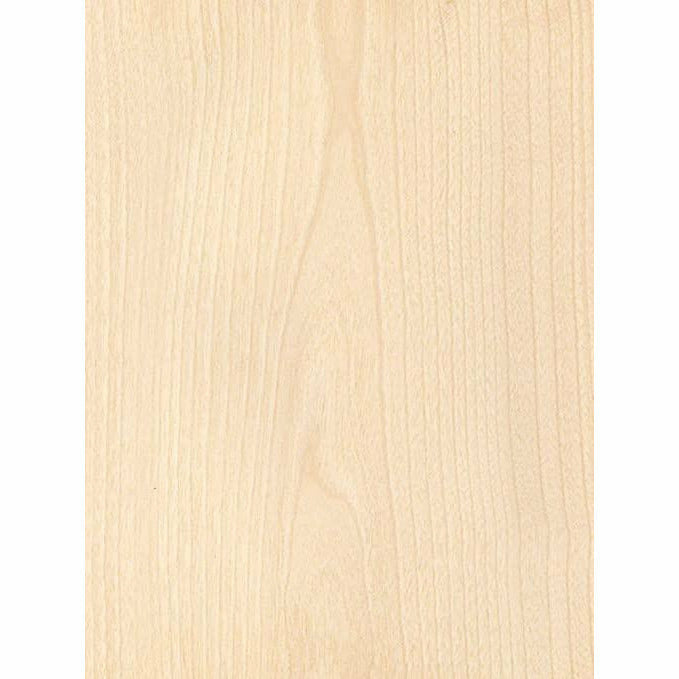 Birch Plywood (3 Ply) 1/16" x 12" x 24 "