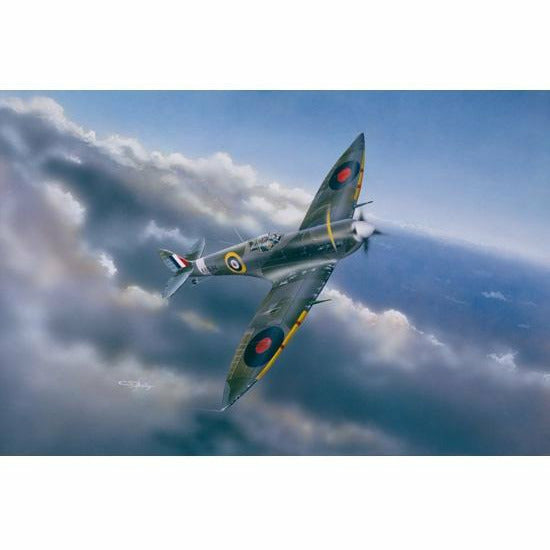 Supermarine Spitfire MK.VI 1/24 by Trumpeter
