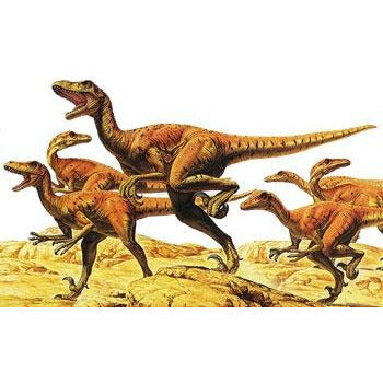 Velociraptors Pack of Six #60105 1/35 Figure Kit by Tamiya