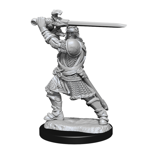 D&D Unpainted Mini - Human Paladin - Male 90220