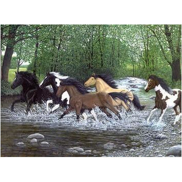 Royal & Langnickel Paint by Numbers Free Spirits Galloping Horses