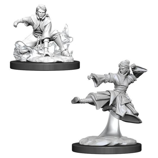 D&D Unpainted Mini - Human Female Monk 90008