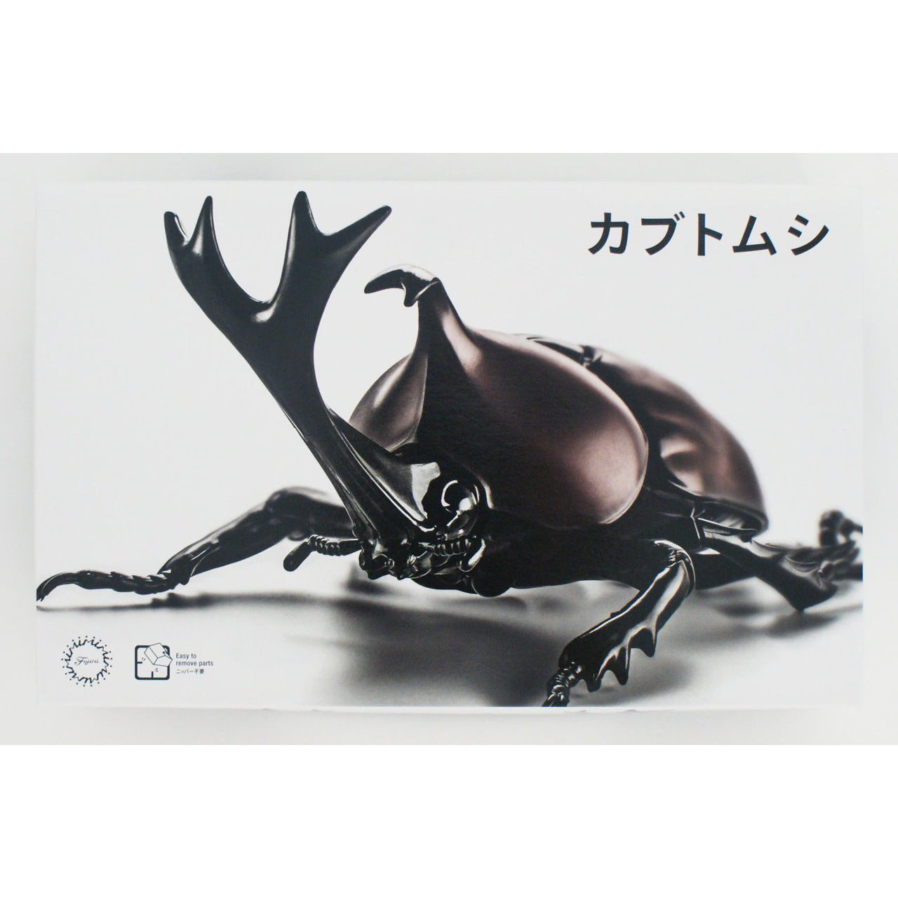 Japanese Rhinoceros Beetle Biology Edition Pre-painted Kit - The Living Thing Series by Fujimi