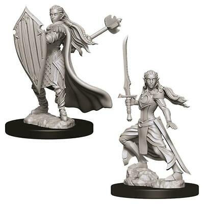 D&D Unpainted Mini - Female Elf Paladin 73706