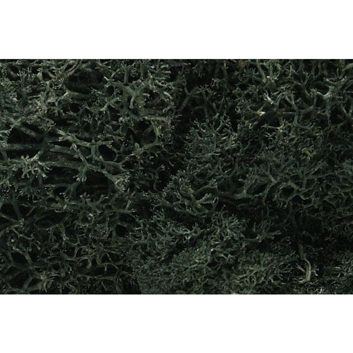 Woodland Scenics Lichen - Dark Green WOO164