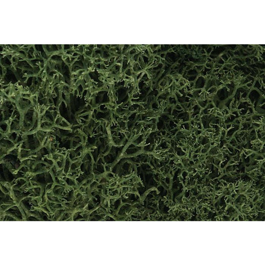 Woodland Scenics Lichen - Medium Green WOO163