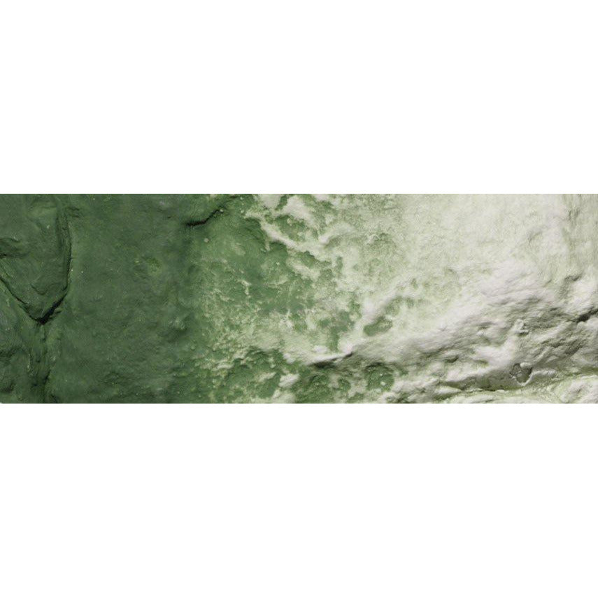 Woodland Scenics Earth Colors Green Undercoat Liquid Pigment (8oz) WOO1228