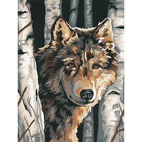 Dimensions Paint by Numbers Wolf Among Birches (9"x12")