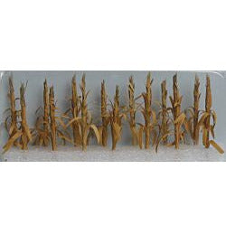 JTT Scenery Products Dried Corn Stalks (O Scale) #95589
