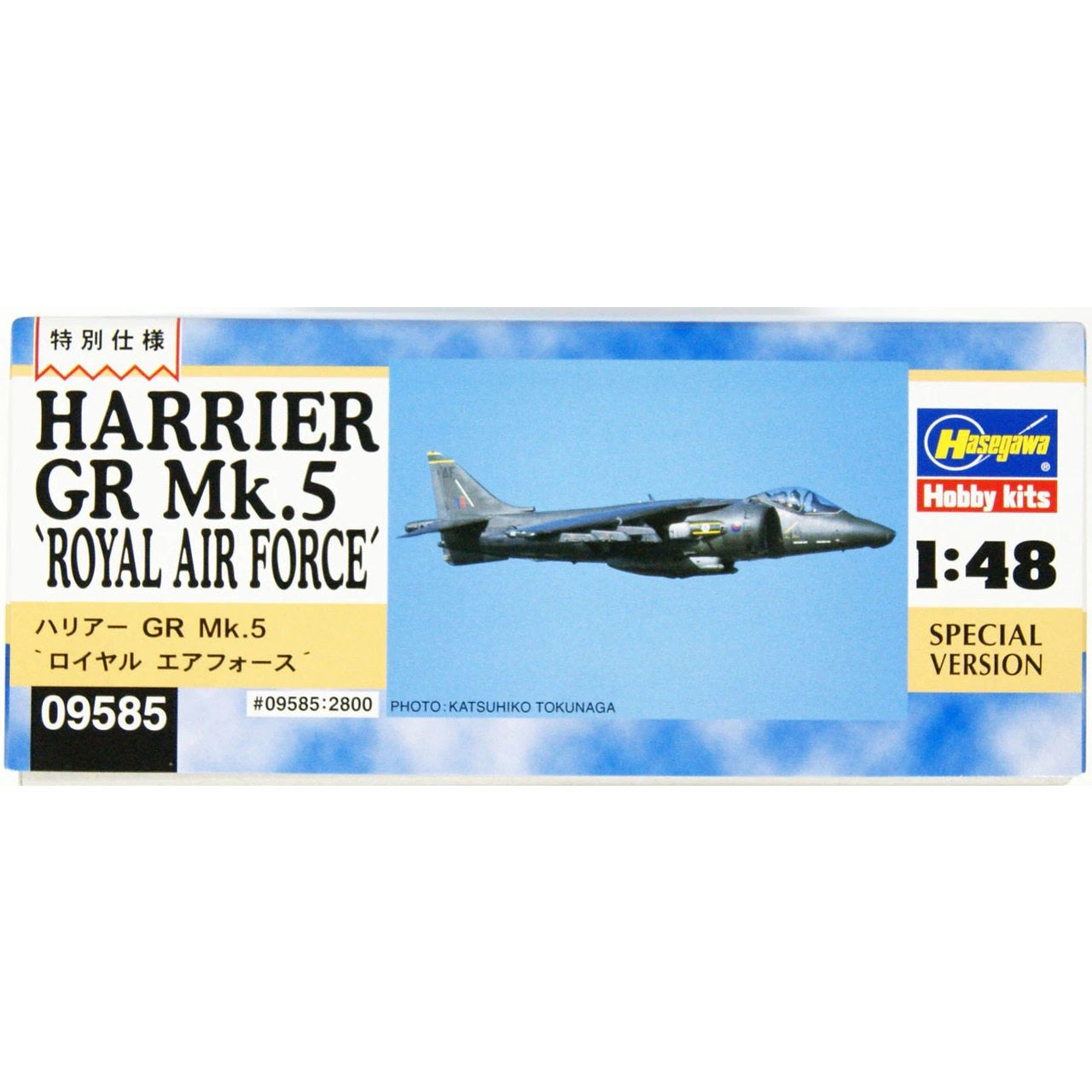 Harrier GR Mk.5 'Royal Air Force' 1/48 #09585 by Hasegawa