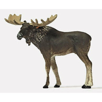 Moose [Ho]