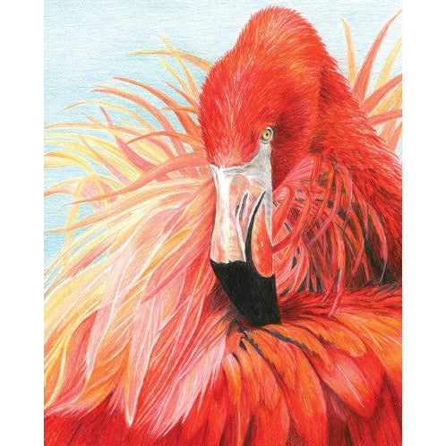 Royal & Langnickel Colour Pencil by Numbers Flamingo
